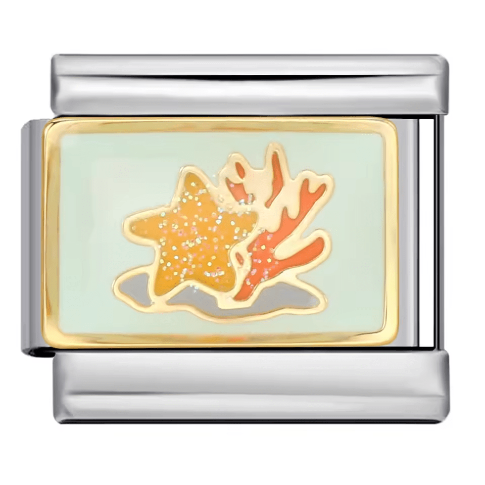 Starfish & Coral [ref:50563510075670]