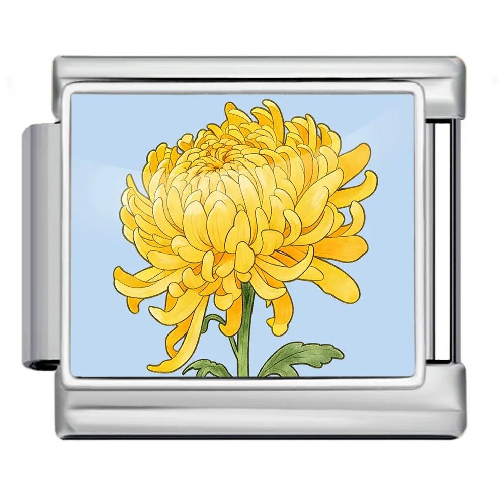 Chrysanthemum — Silver [ref:55158867362070]
