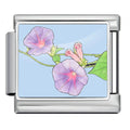Morning Glory — Silver [ref:55158876668182]