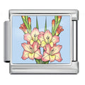 Gladiolus — Silver [ref:55158937977110]