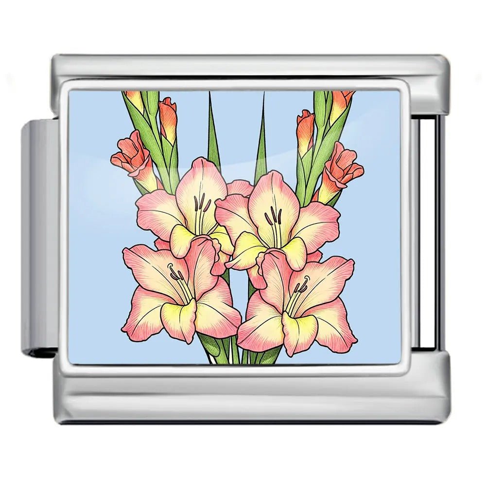 Gladiolus — Silver [ref:55158937977110]