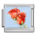 Roses — Silver [ref:55158977167638]