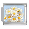 Daisies — Silver [ref:55159006494998]