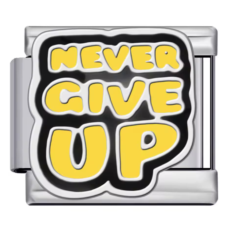 Never Give Up — Silver [ref:55173233606934]