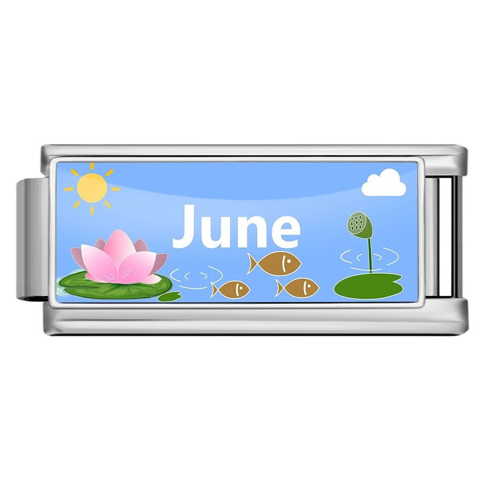 June — Silver [ref:55181491241238]