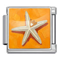 Starfish — Silver [ref:55612961915158]