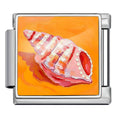 Conch — Silver [ref:55612967387414]