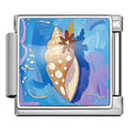 Conch — Silver [ref:55612981248278]